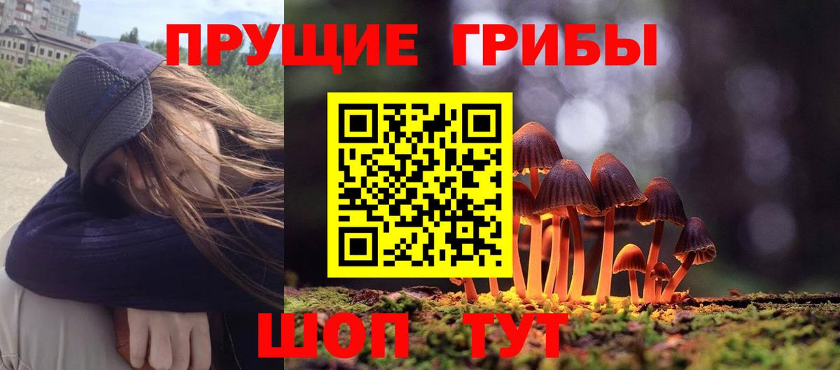 Псилоцибиновые грибы прущие грибы Партизанск