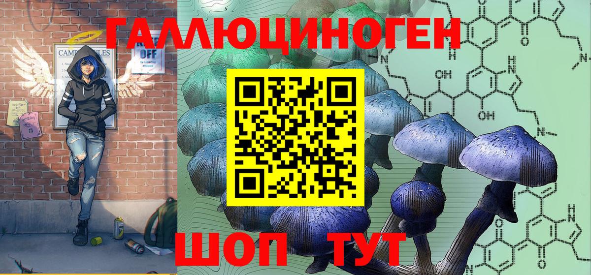 Партизанск  Галлюциногенные грибы прущие грибы  Вход с VPN 